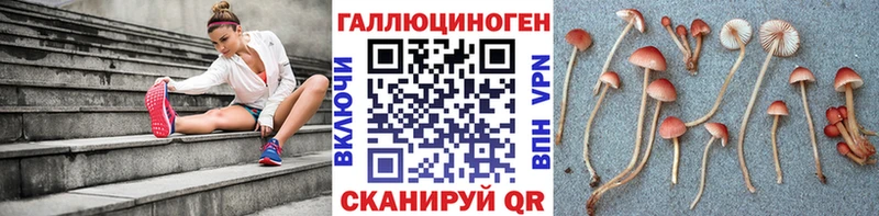 mega ONION  Топки  Галлюциногенные грибы Psilocybine cubensis 