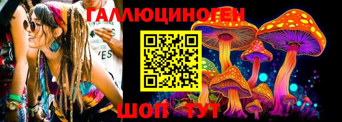 Топки  Галлюциногенные грибы MAGIC MUSHROOMS  Вход с VPN  Псилоцибиновые грибы Psilocybine cubensis 
